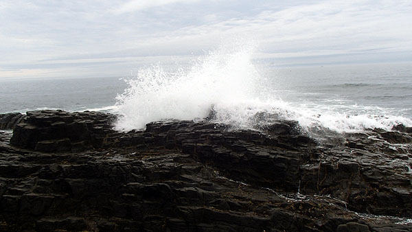 花咲灯台車石前の海